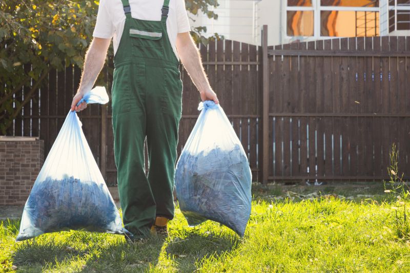 Junk Removal Service