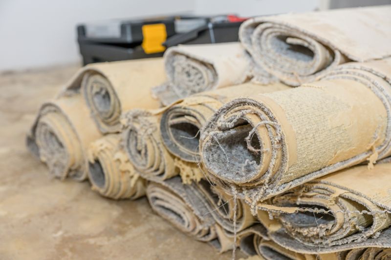 Types of Rugs Disposed