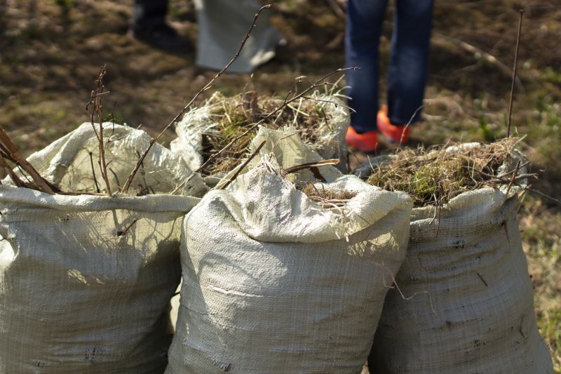 Specialized Rug Disposal Contractors